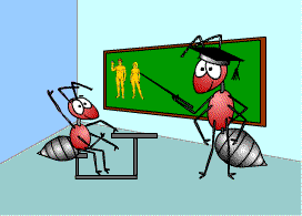 La hormiga va a la escuela